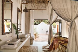 Orchid Suite
